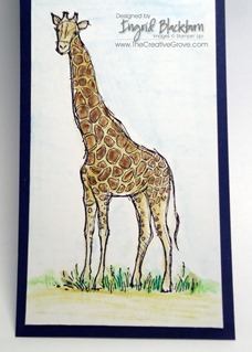 Zoo Review 001 Giraffe CU