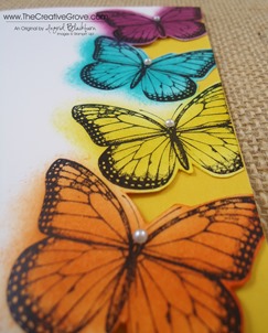 Best of Butterflies 002 CU