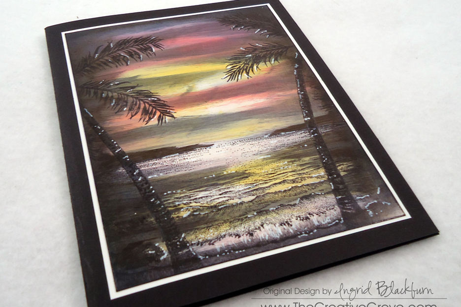 Eveing Sunset Palm Cove Thumbnail